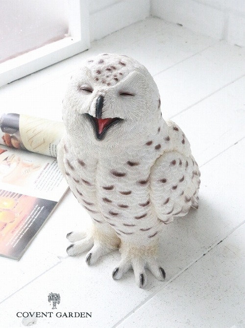 おふくろう Amazon.co.jp: 紅石(Benishi) Benny's フクロウ 高さ12cm QY-40