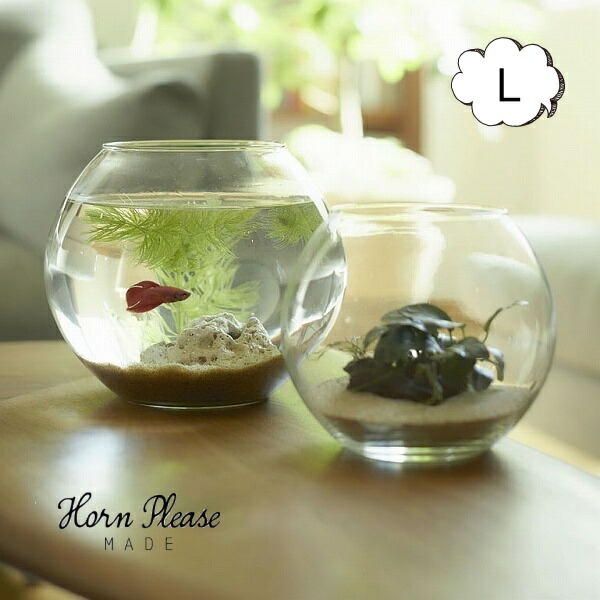 90 Off リューズガラス フラワーベース ドーム プーパン Lサイズ Horn Please 志成販売 球型 金魚鉢 苔を植えたテラリウム フローティング 木 花 フラワー フラワーグラス 花瓶 ガラス ガラスベース シンプル おしゃれ 置物 北欧 花器 インテリア雑貨 Bagochile Cl
