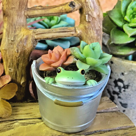 コポー 多肉植物とカエル Copeau コポタロウ 植物 ガーデン雑貨 置物 雑貨 小物 オブジェ カエル 置き物 置物 オブジェ 蛙 フロッグ Frog ガーデン雑貨 インテリア雑貨 小物 マスコット ミニチュア Educaps Com Br