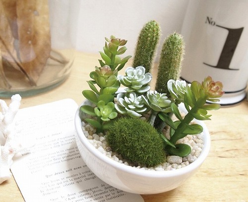 明日 楽天市場】サキュレントリフレリウム 消臭アーティフィシャルグリーン