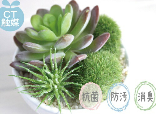 楽天市場】サキュレントリフレリウム 消臭アーティフィシャルグリーン