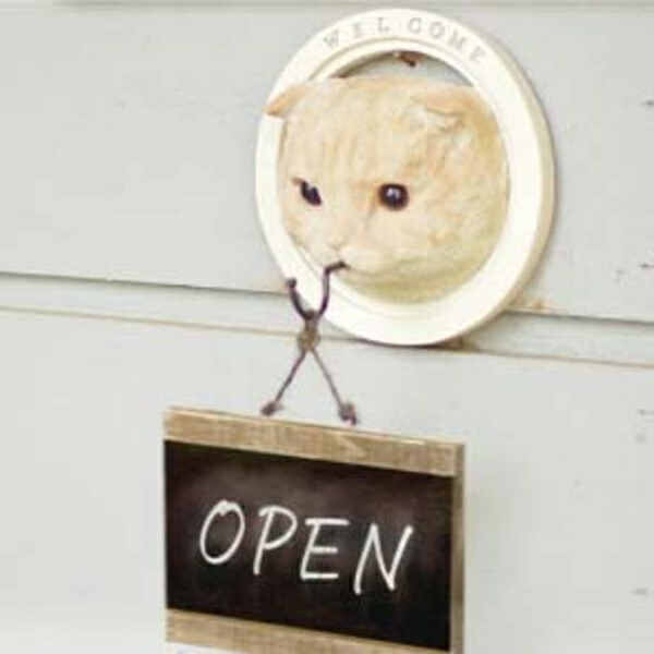 壁掛け フック 動物 猫 スコティッシュフォールド アニマル 見せる収納 収納 インテリア 雑貨 小物 かわいい おしゃれ リビング 玄関 キッチン 家 新築 壁 アニマルヘッド ウォールフック キーフック ねこ ネコ Cat キャット プレゼント 贈り物 ランキング第1位