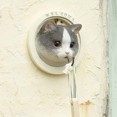 世界的に有名な 壁掛け フック 動物 猫 ハチワレ アニマル 見せる収納 収納 インテリア 雑貨 小物 かわいい おしゃれ リビング 玄関 キッチン 家 新築 壁 アニマルヘッド ウォールフック キーフック ねこ ネコ Cat キャット プレゼント 贈り物 Tonna Com