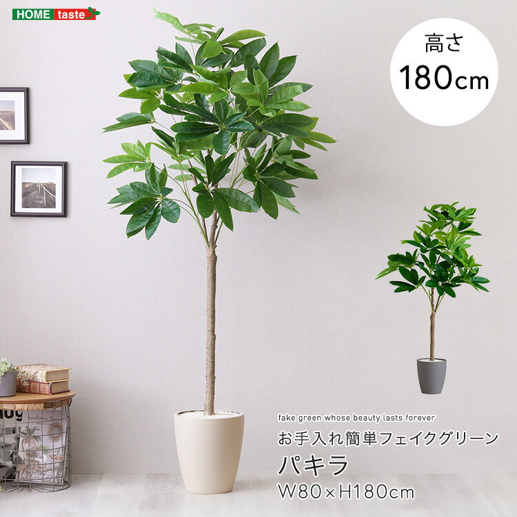 お手入れ簡単フェイクグリーン パキラ Lサイズ(180cm)｜家具通販のグランデ
