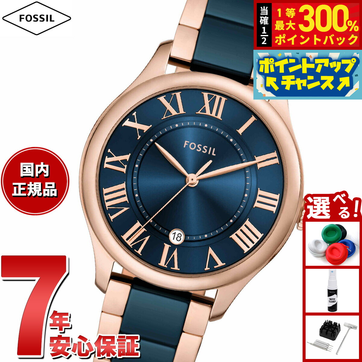 GARMINを青写真別に引き合わせる！