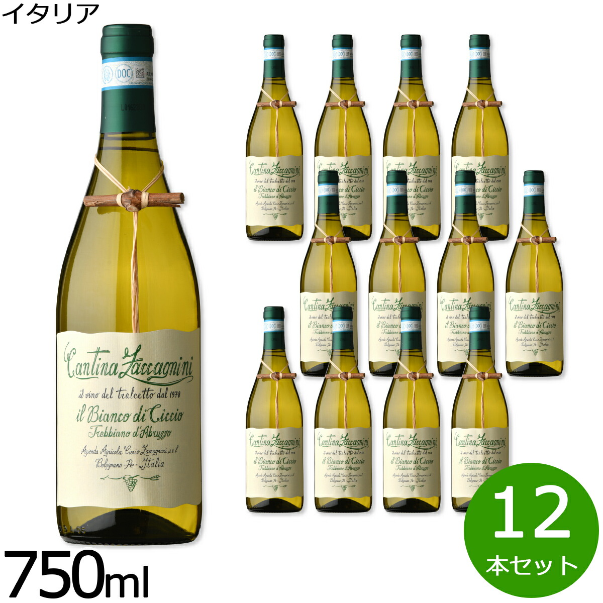 【店内ポイント最大50倍！本日限定！】イル ビアンコ ディ チッチオ イタリア産 辛口 白ワイン イタリアワイン オイスターワイン 白 イタリア 金賞 750ml×12本【送料無料】