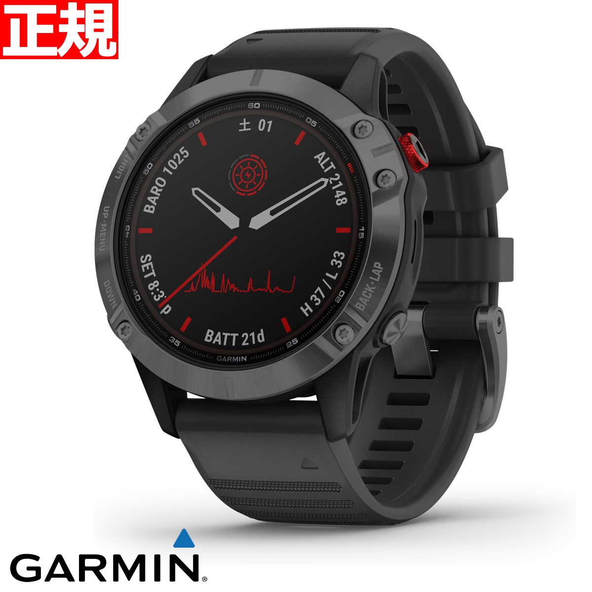 受注生産品】 ガーミン GARMIN fenix 6 Pro Dual Power Slate Gray DLC