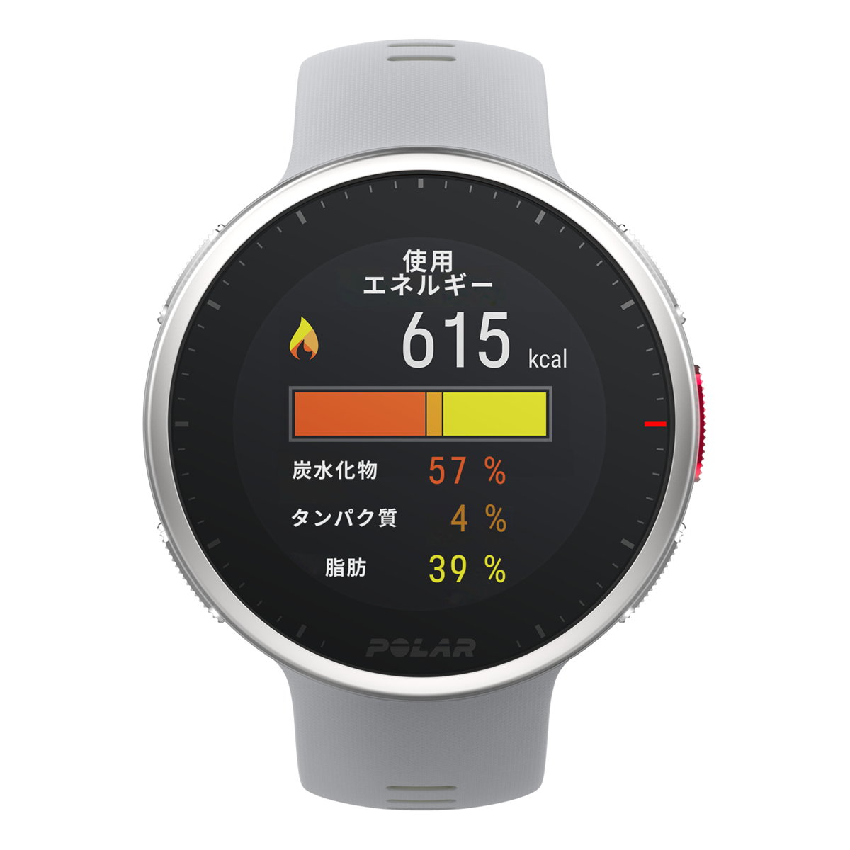 ポラール Polar Vantage マルチスポーツ M GPS ヴァンテージ 日本正規