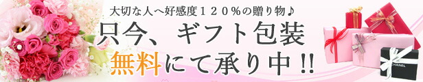 楽天市場】【コーチ箱 紙袋付き ギフト包装無料】コーチ キーケース フローラルプリント 花柄 5連 キーケース レディース CO-379 IMCAH  ホワイト【COACH コーチ C0379】【新作モデル・新品】【楽ギフ_包装】【コンビニ受取対応商品】【02P01Oct16】【あす楽】 : 入手困難  ...