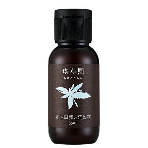 無添加 シャンプー 【グレンジ ノーマライズシャンプー 35ml】オーガニック お試しスカルプ ボタニカル ノンシリコン 植物性 頭皮の脂 臭い 頭皮湿疹 フケ オイリー メンズ 男性 天然成分 加齢臭 低刺激 頭皮 かゆい アトピー肌 敏感肌 赤ちゃん 頭皮 臭い くさい