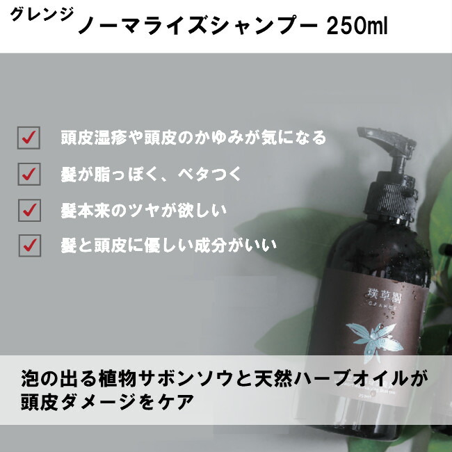 新品即決 ヘアケア2点セット ノーマライズシャンプー スムージングヘアコンディショナー 250ml オイリーダメ ジ オーガニック シャンプー アトピー肌 敏感肌 低刺激 無添加 頭皮湿疹 脂漏性湿疹 はり こし おすすめ ランキング メンズ ノンシリコン すっきり 新版