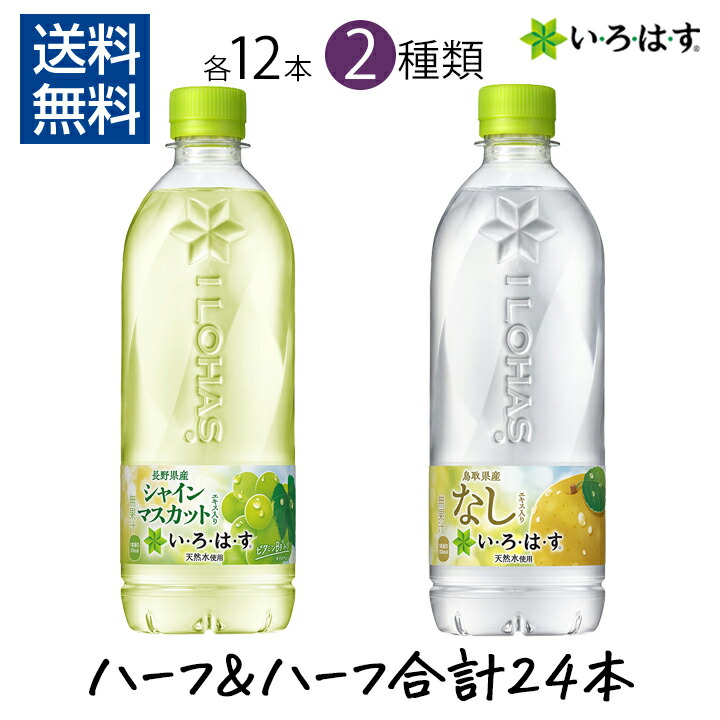 マスカット500mlセット　2セット coca-cola-035new.jpg