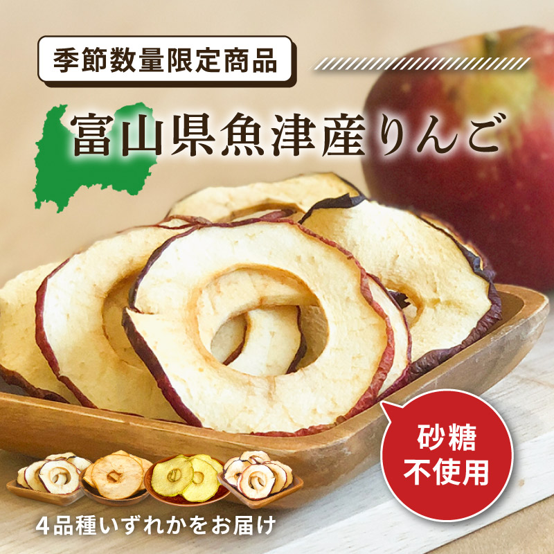 楽天市場】【最大555円割引☆スーパーセールクーポン配布中】【季節