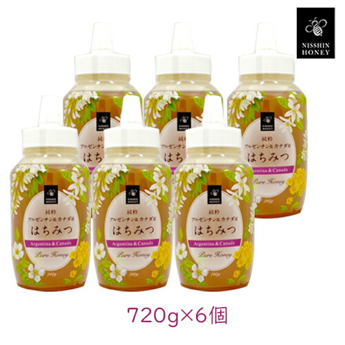 はちみつ 純粋アルゼンチン&カナダ産はちみつ 720g 6本 日新蜂蜜 調味料 料理 お菓子作り ダイエット 美肌 整腸 夜はちみつ ハニー