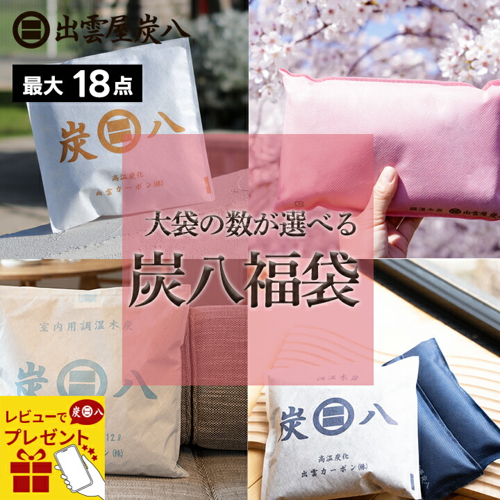Amazon.co.jp: 炭八 小袋【増量版】 一重小袋 10袋セット