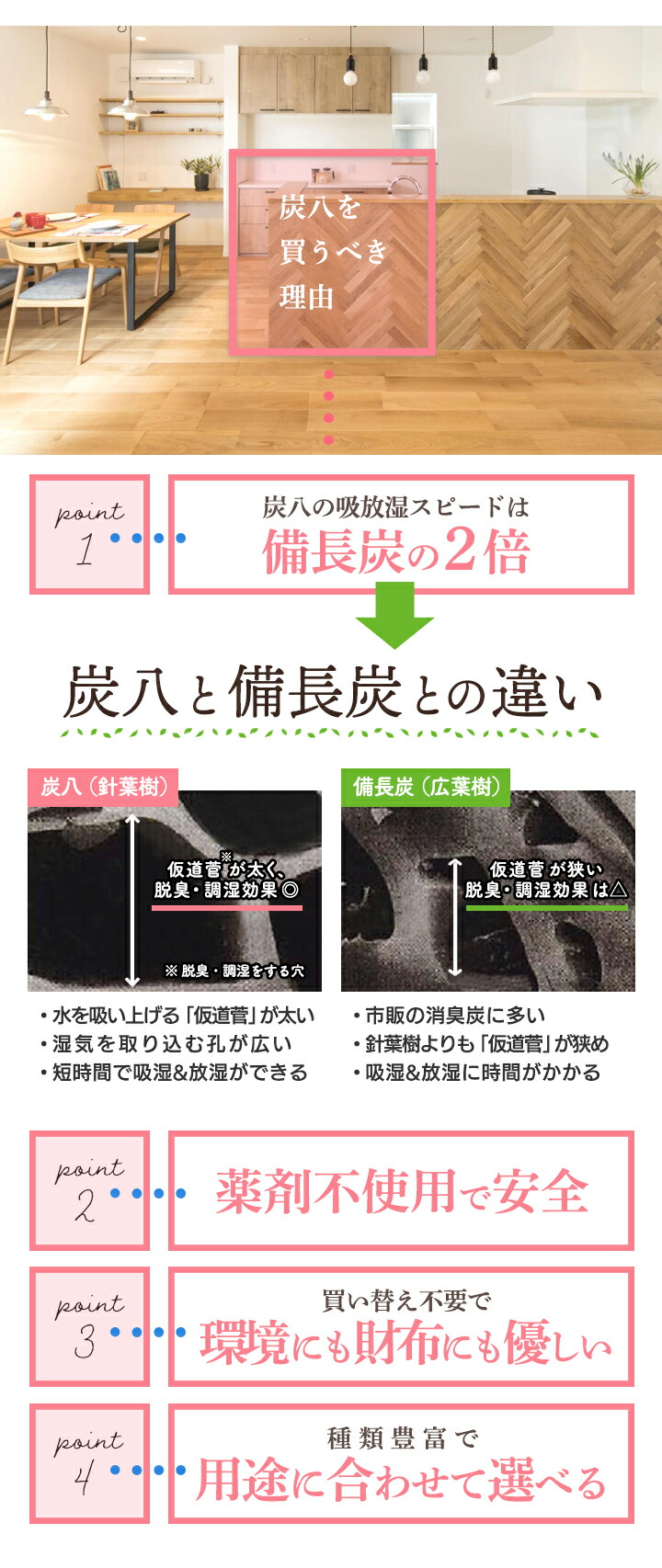 炭八 除湿対策 湿気対策 小袋いろいろ詰め合わせ 小袋どっさりセット 福袋 繰り返し使える 除湿剤 調湿木炭 Tv通販 湿気 結露防止対策 小袋 乾燥材 脱臭 下駄箱用 車内 引き出し 保存 保管 衣替え 衣類 防虫 消臭 カビ予防 着物 衣装ケース 80 Magazinpegas Cz