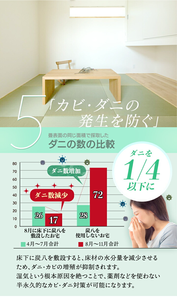 床下用を3袋おまけ＞出雲屋炭八 床下用 約10畳用 64袋セット（8ケース） リフォーム カビ予防 節電 防虫 床下乾燥 繰り返し使える 床下の湿気  結露防止 出雲屋炭八 結露対策 湿気 除湿 消臭 脱臭 炭 乾燥 木炭 炭 [直送] 日用消耗品