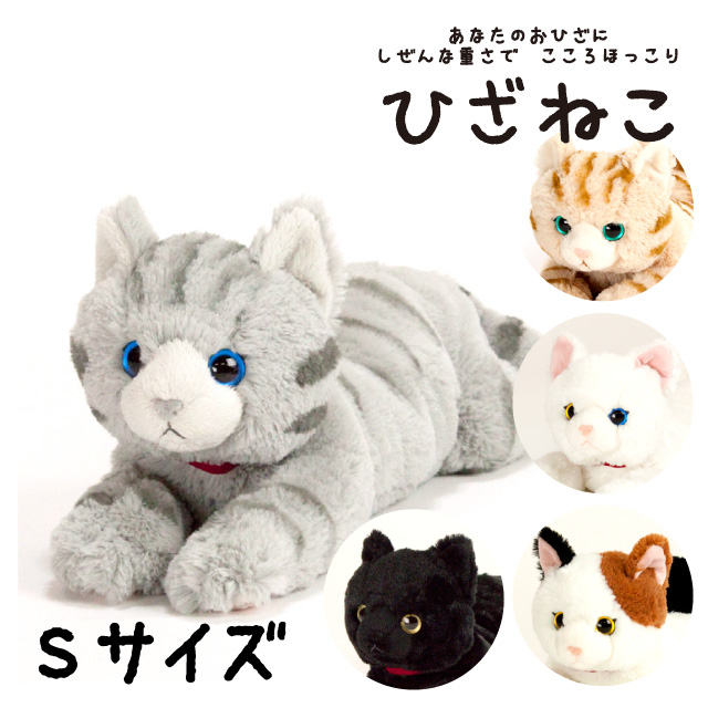 ひざねこ　キティ　ぬいぐるみ Amazon.co.jp: ひざねこ ぬいぐるみ ホワイト オッドアイ M