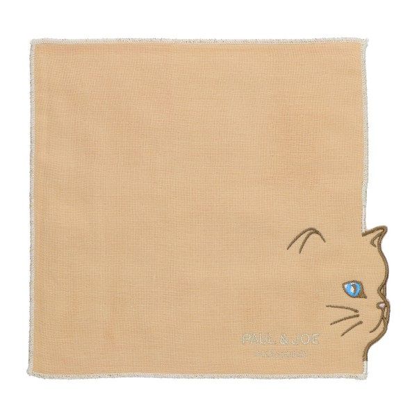 rs-02catng-lk01.jpg