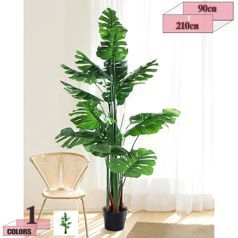 1000円OFFクーポン フェイクグリーン モンステラ 水やり不要 枯れない 害虫が発生しない 人工観葉植物 観葉植物 インテリア オフィス おしゃれ 癒し 大型 大さい 水やり不要 お洒落 洗面所 玄関 トイレ 風水 開運 金のなる木 多幸の木 お祝い 開店 開業祝い｜グラティアHOME
