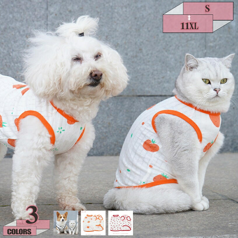 500円OFFクーポン 犬 服 犬服 ペットウェア いぬ 犬の服 夏服 通気 涼しい タンクトップ 袖なし ノースリーブ 袖無し キャミソール ふりふり かわいい 女の子 男の子 小型犬 中型犬 大型犬 ペット用品 【春 夏 春夏 春服 夏服 春物 夏物 夏用】 gratiahome｜グラティアHOME