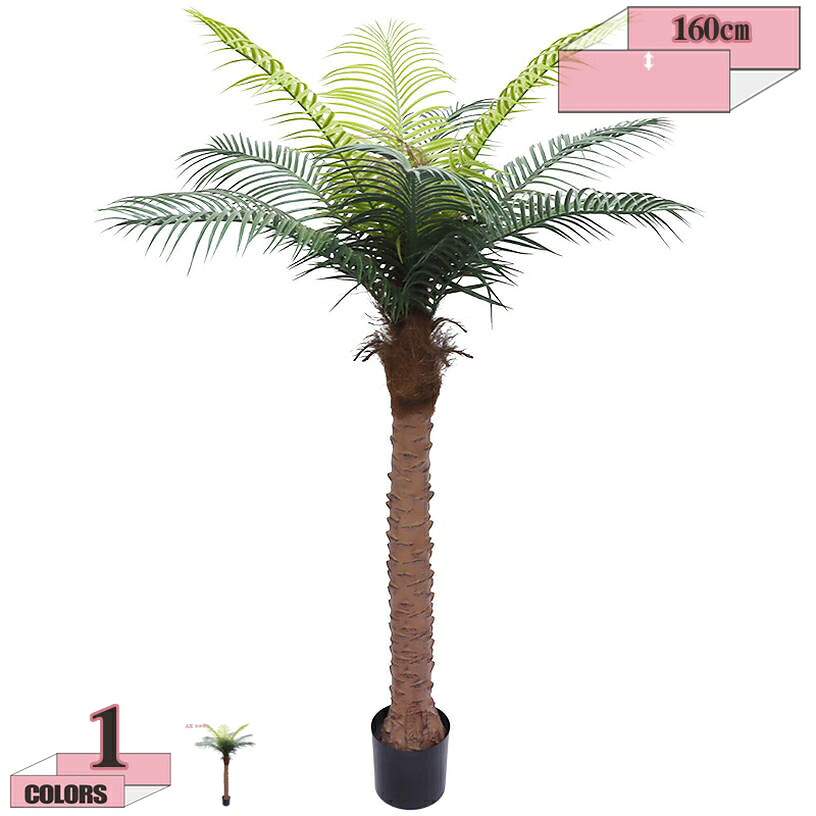 1000円OFFクーポン 大型 人工観葉植物 装飾用 インテリア 屋内 リビング オフィス おしゃれ 大きめ トロピカル 人工観葉樹 間仕切り 大型 ポット付 インテリア コンシンナ フェイクグリーン 人工樹木 トロピカル植物 鉢植え フェイクグリーン 人工観葉植物｜グラティアHOME