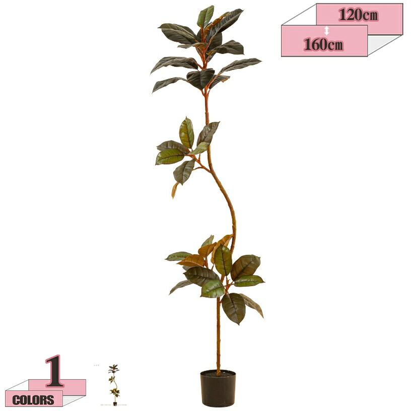 1000円OFFクーポン 常緑樹 フェイクグリーン 大型 人工観葉植物人工樹 リアル 本物にそっくり 室内 屋内 ホーム ベランダ リビング 大型 おしゃれ 飾り用 お手入れ簡単 水やり不要 虫害の心配なし 明るく爽やか 本物そっくり 人工植物 人工樹木 gratiahome｜グラティアHOME