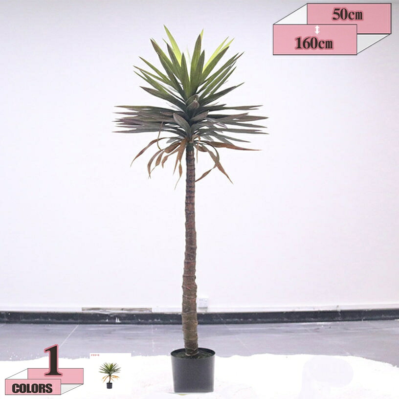 500円OFFクーポン券 人工観葉草木 造木 人工あずま屋 コンピューターシミュレーション 人工ドラセナ 鉢植え 熱帯の椰子科の木 草木 鉢付き添い人 執務室 住みか 執務室 トロピカル リビング御部屋 執務室 屋内 室外 営造祝賀会 フェイクグリーン 人工木鉢植え 人工テキーラ gratiahome