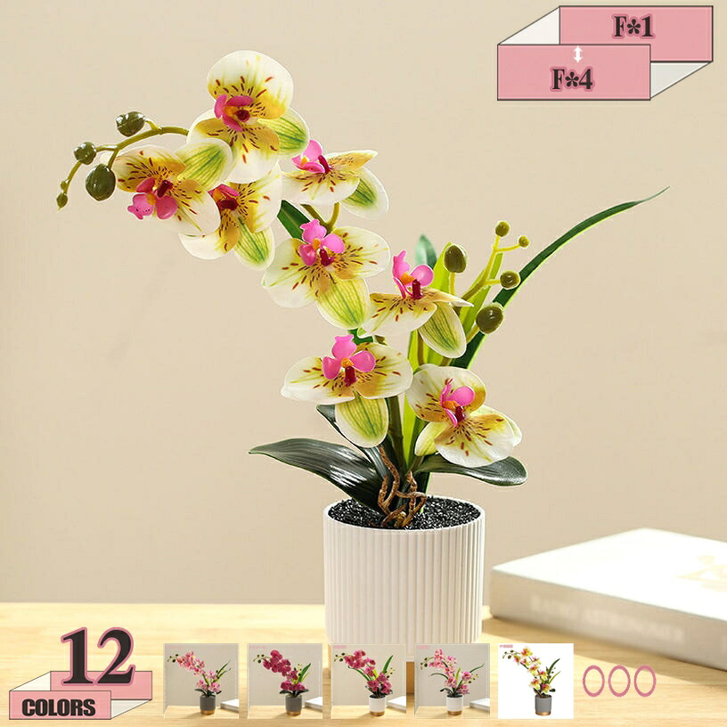 2000円OFFクーポン フェイクグリーン 人工観葉植物 観葉植物 フェイク 観葉植物 鉢植え インテリア 可愛い 小さい人工植物 インテリア飾り 父の日 母の日 プレゼント 新築祝い ギフト お祭り 贈り物 観葉植物 フェイク小型 ミニ 観葉植物 gratiahome|グラティアHOME