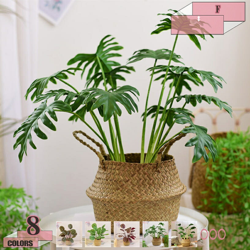 1000円OFFクーポン フェイクグリーン 人工観葉植物 観葉植物 開店祝い フェイクグリーン おしゃれ 人工 お祝い リビング シンプル オフィス デラックス 観葉植物 フェイク 人工観葉植物 インテリア リアル おしゃれ 人工観葉樹 フェイクグリーン gratiahome|グラティアHOME