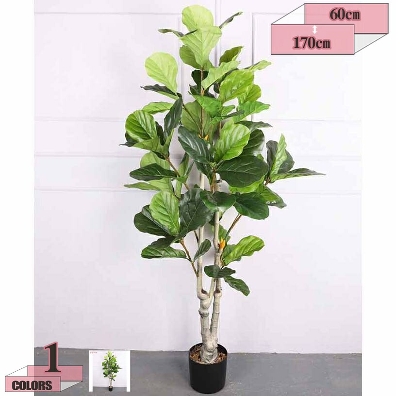 500円OFF引き換え証 人工観葉草木フェイクグリーン フィカス・アルテシマ 造花 観葉樹 鉢植え お取りつくろう飾り気の無い 水やり不必要 虫害懸念することなし 分かりやすい 今めかしい 室内 介護ホームのかざり付ける リビング 部屋の入り口 開店 営造 引っ越し 祝賀会差し上げ物 gratiahome