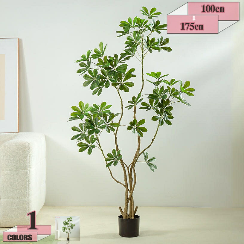 500円OFFクーポン券 ホンコンパンヤ 鉢植え 人工観葉草木 今めかしい 室内装飾緑であること 大型 中型 まわり合わせの木 室内用 お取りつくろう不必要 今めかしいな 室内装飾 雑貨 観葉樹 リビング 執務室 造花 飾りつけ用 緑 草木 執務室緑であること gratiahome