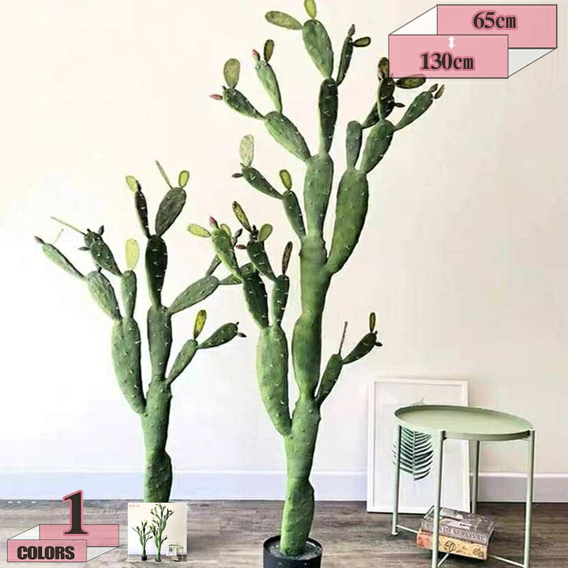 2000円OFFクーポン 人工観葉植物 フェイクグリーン 観葉植物 コーヒーの木 インテリアグリーン 造花 サボテン 幹をグネグネ曲げられる 水やり不要 虫害の心配なし 幸運の木 金のなる木 おしゃれ お祝い お祝い お礼 贈り物 プレゼント 一人暮らし 引越し gratiahome｜グラティアHOME 15,957円