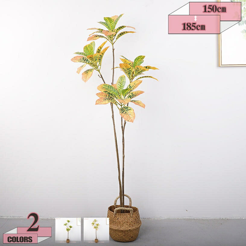 1000円OFFクーポン 人工樹木 フェイクグリーン 風水植物 水やり不要 枯れない 害虫が発生しない 人工観葉植物 観葉植物 インテリア オフィス シンプル おしゃれ 防水 高耐久 癒し 金のなる木 幸運の木 お手入れ簡単 リビング 玄関 屋内 飾り用 観葉樹 造花｜グラティアHOME 7,368円