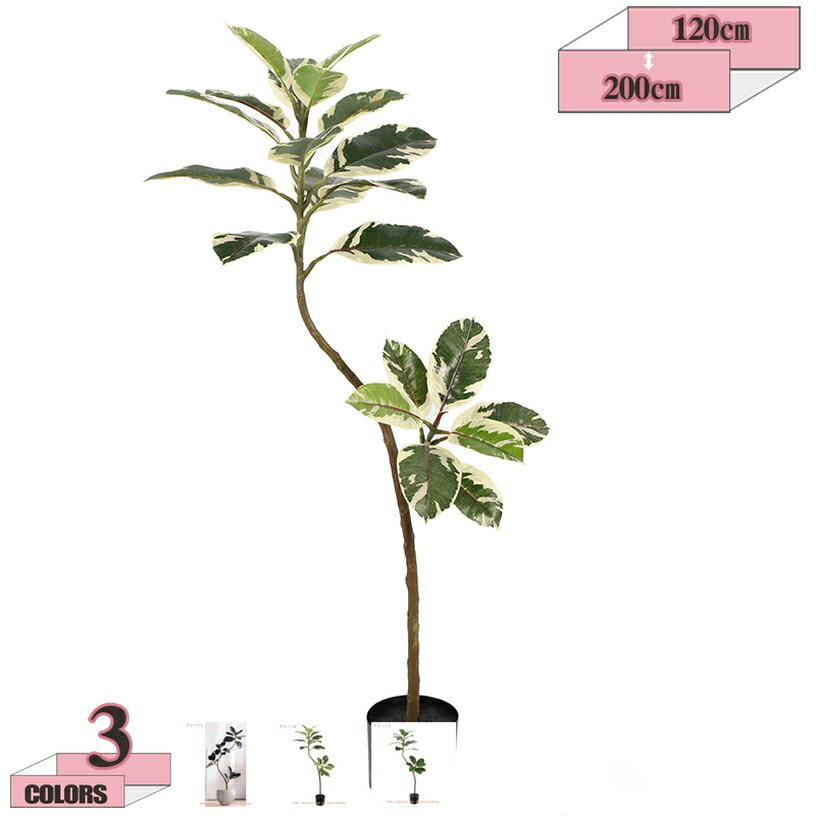 1000円OFFクーポン券 観葉草木 天然ゴムの木 観葉 鉢植え フェイクグリーン 御祭り 本物そっくり 取り計らうがない 水やり不必要 今めかしい 分かりやすい 本当の 造花 育て分かりやすい 開店祝賀会 開業祝賀会 移し替える祝賀会 室内 室外相応う 新生きて行く 差し上げ物 室内装飾 大型 差し上げ物 gratiahome