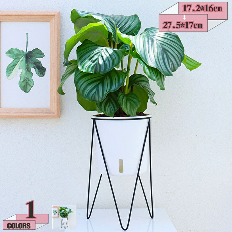500円OFFクーポン券 ポット照明ランプ プランターボックス プランター プランタースタンド 御花照明ランプ アイアン製 考える 園芸仕合わせ アイアン ガーデニング 園芸 エクステリア機材 花台 格好のいい オシャレ 鉢照明ランプ gratiahome