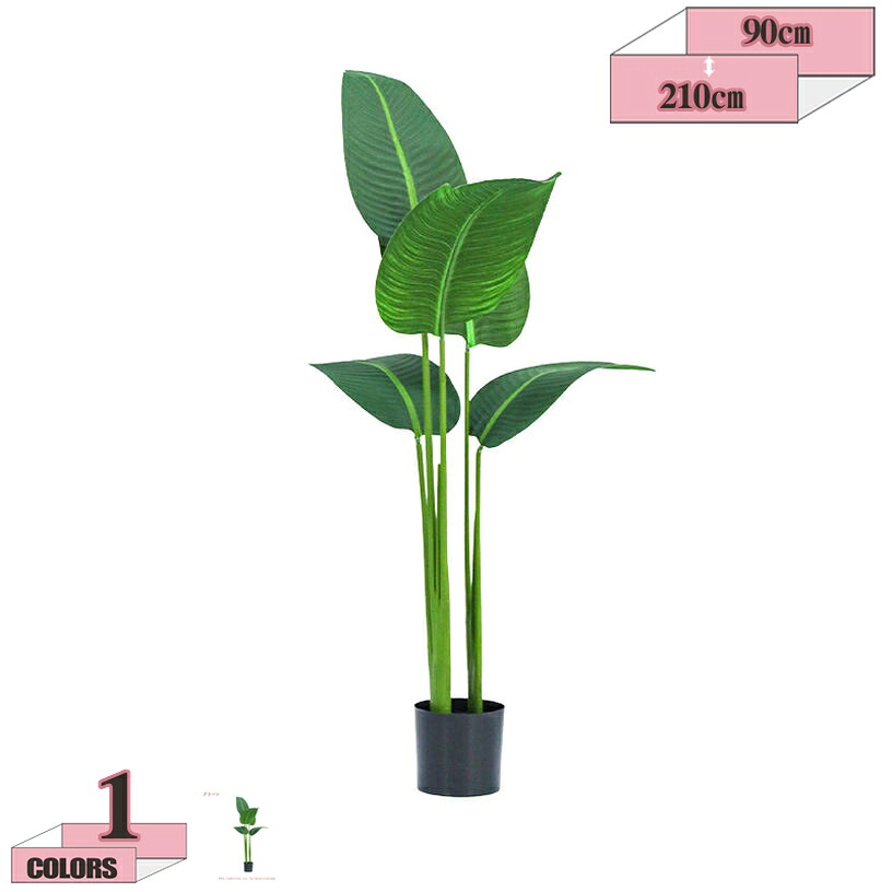 ストレリチア 人工観葉草木 鉢植え 大型 馬鹿でかい 草木 心うれしいの木 今めかしい 今めかしいな室内装飾 開店祝賀会 移し替える祝賀会 執務室 バス発着場 執務室 室内 差し上げ物 差し上げ物 好いたらしい 育て分かりやすい 未経験者 水やり不必要 枯れない 分かりやすい 今めかしい 営造祝賀会 引き越す祝賀会 新生きて行く gratiahome
