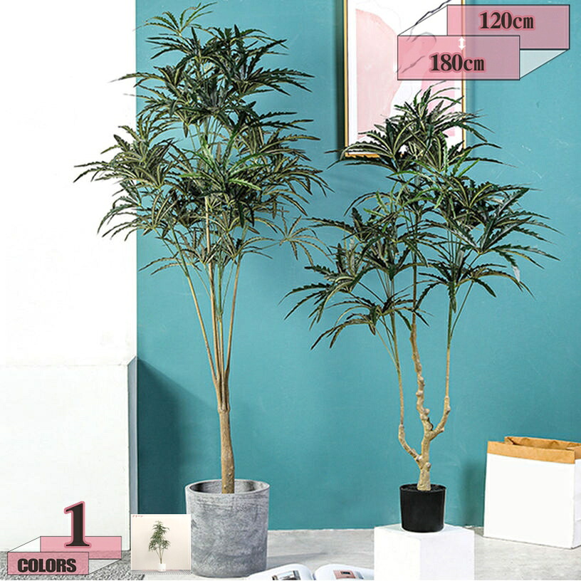 1000円OFFクーポン券 観葉草木 シェフレラ 観葉 鉢植え フェイクグリーン 御祭り 本物そっくり 取り計らうがない 水やり不必要 今めかしい 分かりやすい 本当の 造花 育て分かりやすい 開店祝賀会 開業祝賀会 移し替える祝賀会 室内 室外相応う 新生きて行く 差し上げ物 室内装飾 大型 差し上げ物 gratiahome