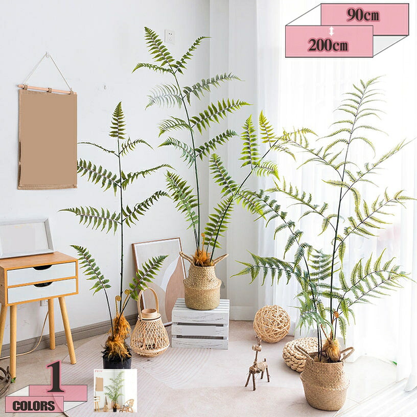 1000円OFFクーポン インテリアグリーン シダ植物 簡単世話いらず 水やり不要 抗菌 観葉植物 大きい フェイクグリーン 置物 緑 癒やし おしゃれ トイレ オフィス 室内 寝室 枯れない お洒落 洗面所 玄関 花粉・虫の心配なし 幹をグネグネ曲げられる gratiahome|グラティアHOME