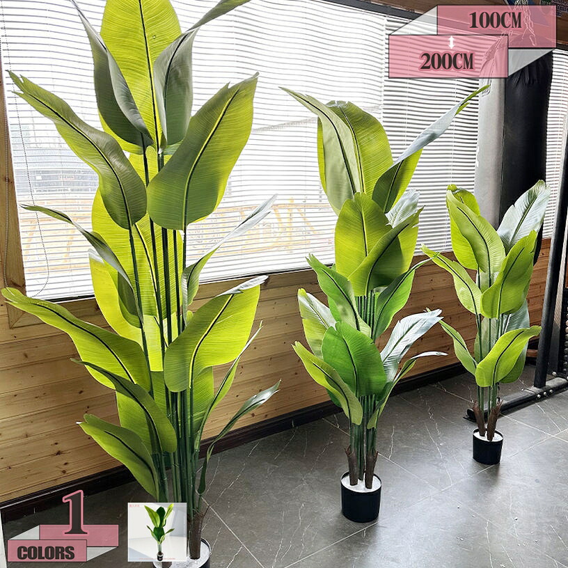 500円OFFクーポン券 フェイクグリーン 大きめ 本物そっくり 緑であること 大型観葉草木 人工観葉草木 まがい物観葉草木 室内装飾 室内 室外 水やり不必要 枯れない 盆栽草木 支持者に贈る 草木かざり付ける 飾りつけ 飾りつけ 花やしき 販売店 後庭の駒寄せ gratiahome