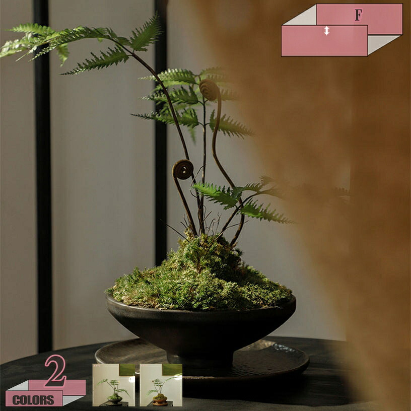 1000円OFFクーポン フェイクグリーン 卓上 人工観葉植物 インテリア 鉢植え 卓上 人工盆栽 テーブルの上に飾り テレビボード 棚の上 机の装飾 デコレーション オフィス 事務所 玄関の装飾 置物 季節飾り 家の装飾 撮影 フェイクグリーン gratiahome｜グラティアHOME