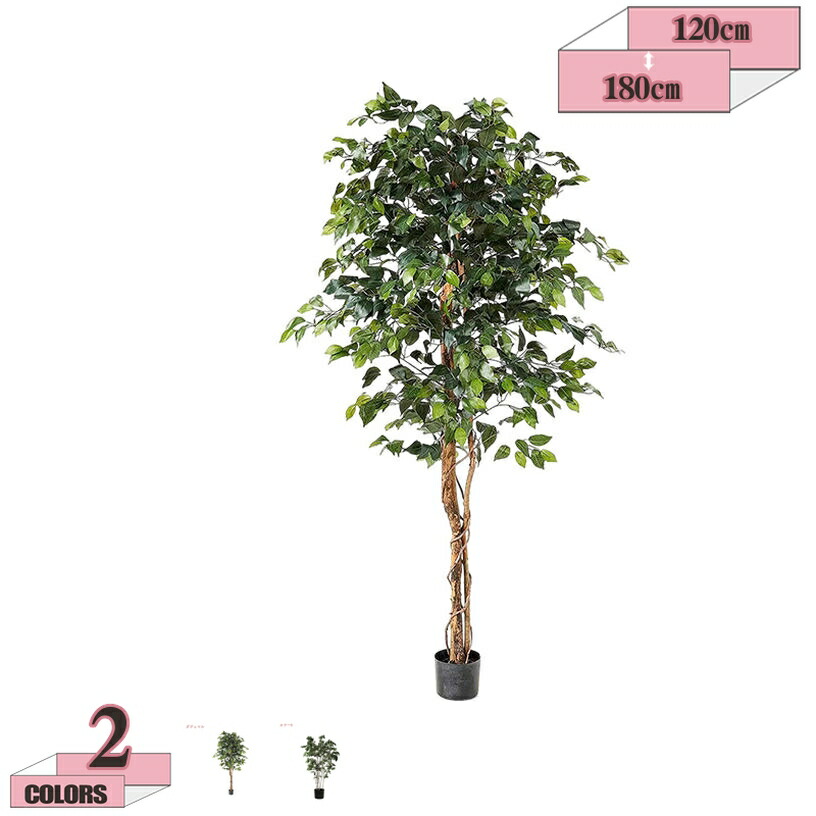 人工観葉植物 大型 フェイクグリーン 人工観葉植物 店舗 エントランス 会議室 オフィス 職場環境 改善 おしゃれ ホテル ルーム お祝い 開店祝い 開業祝い 幸福ノ木 フェイクグリーン 大型 人工観葉植物 インテリアグリーン gratiahome