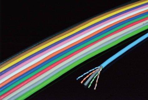 日本製線 周囲の状況思ん量り型Cat6 ローカルエリアネットワーク有線テレビ（300m一巻き） EM-NSGDT6 0.5粍-4P
