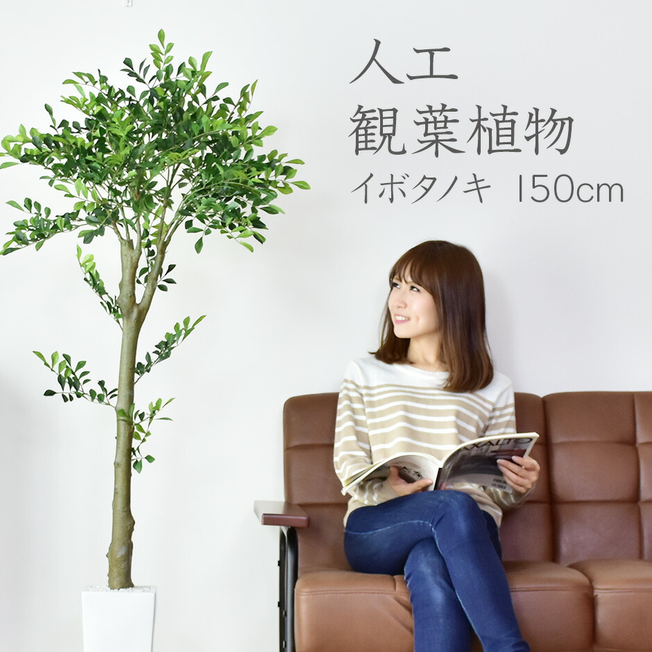 高さ150 楽天スーパーsale 造花 人工観葉植物 送料無料 Grazia室内 高さ150 人工観葉植物 水やり不要 3 7 オフクーポン 光触媒 オフクーポン 水やり不要 3 6 新生活応援 人工観葉植物 12時 造花 イボタノキ150cm イボタノキ150cm イボタノキ150cm 観葉植物 高さ150 楽天スーパーsale 造花 人工観葉植物 送料無料 Grazia室内 高さ150 人工観葉植物 水やり不要 3 7 オフクーポン 光触媒 オフクーポン 水やり不要 3 6 新生活応援 人工観葉植物 12時 造花 イボタノキ150cm イボタノキ150cm イボタノキ150cm 観葉植物