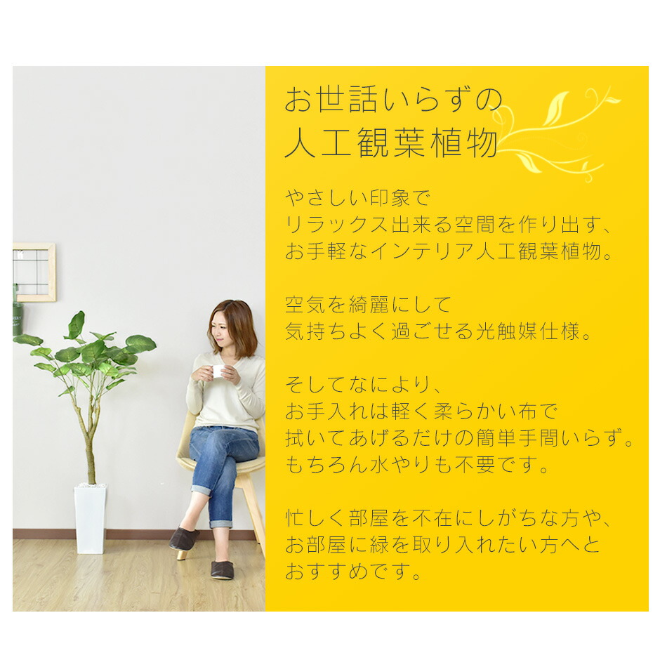 造花 室内 水やり不要 ウンベラータ 光触媒 人工観葉植物 インテリアグリーン 造花 おしゃれ 人工観葉植物 ウンベラータ 水やり不要 人工観葉植物 光触媒 インテリアグリーン 観葉植物 ウンベラータ 水やり不要 インテリアグリーン 観葉植物 造花ウンベラータ 送料無料 造花 室内 水やり不要 ウンベラータ 光触媒 人工観葉植物 インテリアグリーン 造花 おしゃれ 人工観葉植物 ウンベラータ 水やり不要 人工観葉植物 光触媒 インテリアグリーン 観葉植物 ウンベラータ 水やり不要 インテリアグリーン 観葉植物 造花ウンベラータ 送料無料