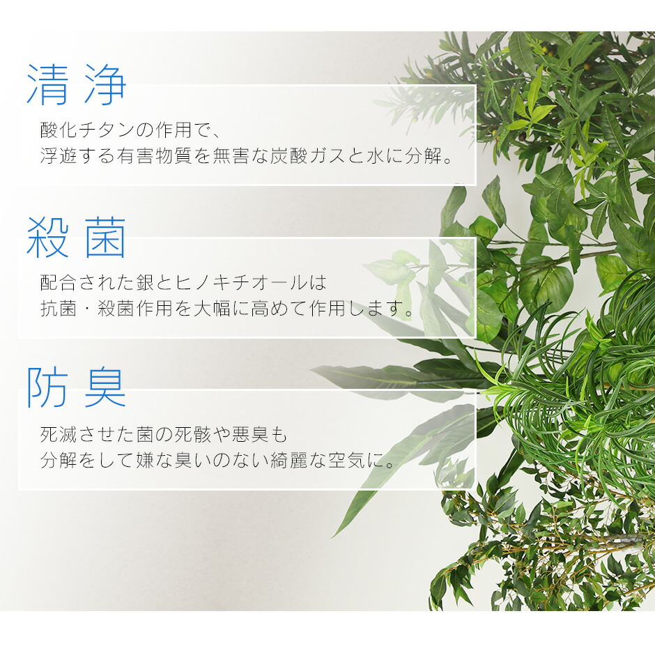 造花 室内 水やり不要 ウンベラータ 光触媒 人工観葉植物 インテリアグリーン 造花 おしゃれ 人工観葉植物 ウンベラータ 水やり不要 人工観葉植物 光触媒 インテリアグリーン 観葉植物 ウンベラータ 水やり不要 インテリアグリーン 観葉植物 造花ウンベラータ 送料無料 造花 室内 水やり不要 ウンベラータ 光触媒 人工観葉植物 インテリアグリーン 造花 おしゃれ 人工観葉植物 ウンベラータ 水やり不要 人工観葉植物 光触媒 インテリアグリーン 観葉植物 ウンベラータ 水やり不要 インテリアグリーン 観葉植物 造花ウンベラータ 送料無料