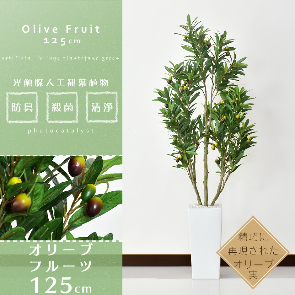 室内 おしゃれ 人工観葉植物 造花 水やり不要 光触媒 7 6 水やり不要 オリーブフルーツ125cm 水やり不要 光触媒 高さ125cm インテリアグリーン 観葉植物 造花 ポイント5倍 7 6 時 24時 人工観葉植物 光触媒 オリーブフルーツ125cm 水やり不要 高さ125 インテリア 室内 おしゃれ 人工観葉植物 造花 水やり不要 光触媒 7 6 水やり不要 オリーブフルーツ125cm 水やり不要 光触媒 高さ125cm インテリアグリーン 観葉植物 造花 ポイント5倍 7 6 時 24時 人工観葉植物 光触媒 オリーブフルーツ125cm 水やり不要 高さ125 インテリア