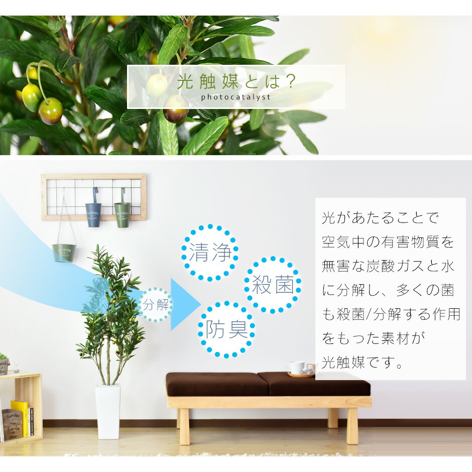 通販激安 人工観葉植物 光触媒 オリーブフルーツ125cm 水やり不要 高さ125 インテリアグリーン 観葉植物 造花オリーブフルーツ125cm 送料無料 Www Tonna Com