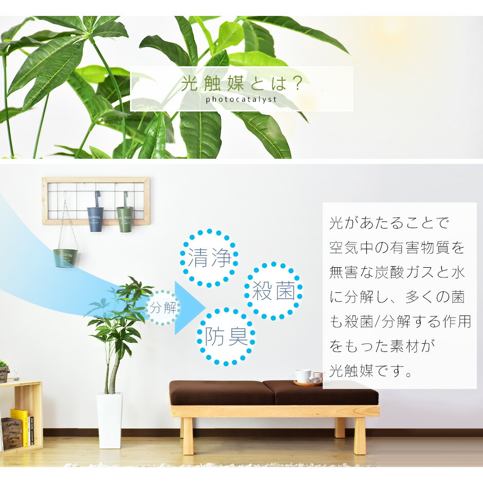 93 Off 人工観葉植物 フェイクグリーン 観葉植物 パキラ 造花 光触媒 鉢 水やり不要 インテリア お祝い 誕生日 出産内祝い お返し 結婚 父 母 男性 女性 彼氏 彼女 お礼 贈り物 プレゼント パキラm ドリス Fahrschule Witte De