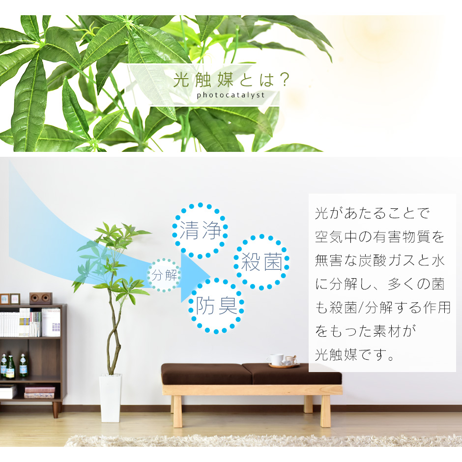 パキラ140cm 高さ140cm おしゃれ 22時 椅子 造花 人工観葉植物 ソファーベッド 観葉植物 おしゃれ 水やり不要 インテリアグリーン 造花 水やり不要 パキラ140cm 送料無料 インテリアグリーン 造花 人工観葉植物 観葉植物 光触媒 時 7 4 パキラl 高さ140 160 パキラ140cm 高さ140cm おしゃれ 22時 椅子 造花 人工観葉植物 ソファーベッド 観葉植物 おしゃれ 水やり不要 インテリアグリーン 造花 水やり不要 パキラ140cm 送料無料 インテリアグリーン 造花 人工観葉植物 観葉植物 光触媒 時 7 4 パキラl 高さ140 160